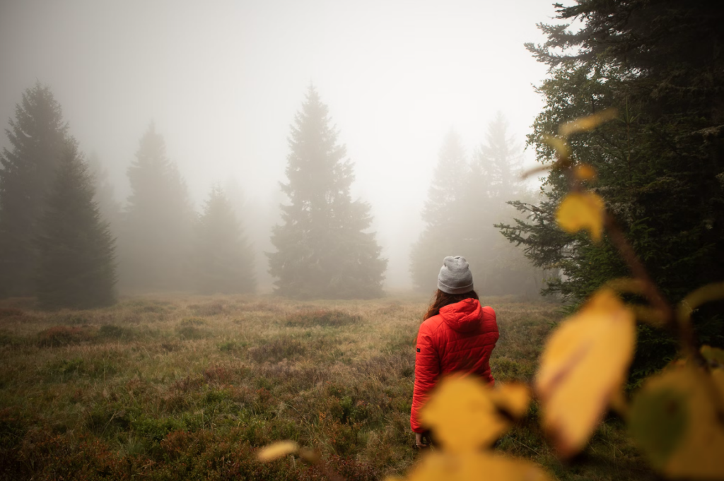 le massif des vosges