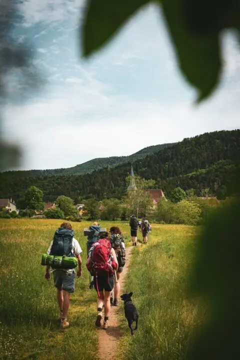 randonnée entre amis avec son chien