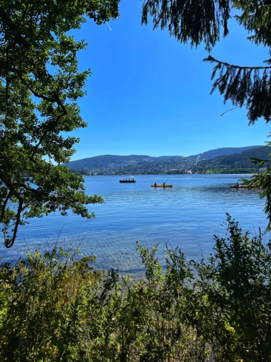 le lac de gérardmer (vosges)