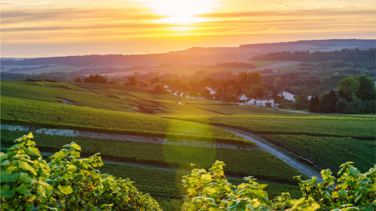 les montagnes de reims