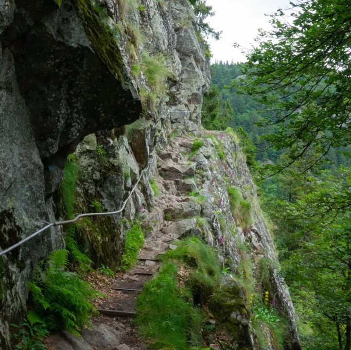 randonnee sentier des roches vosges