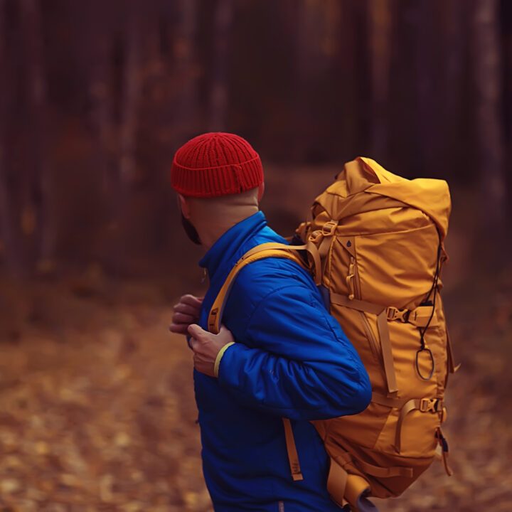 randonnee automne homme marche foret feuilles jaunes