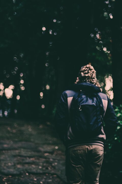 rear view woman with backpack walking against trees forest
