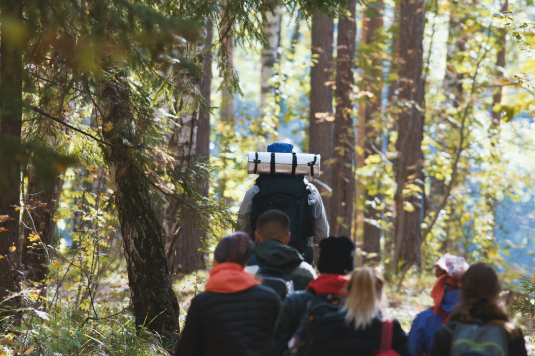 backpacking and camping tourists walking in autumn forest