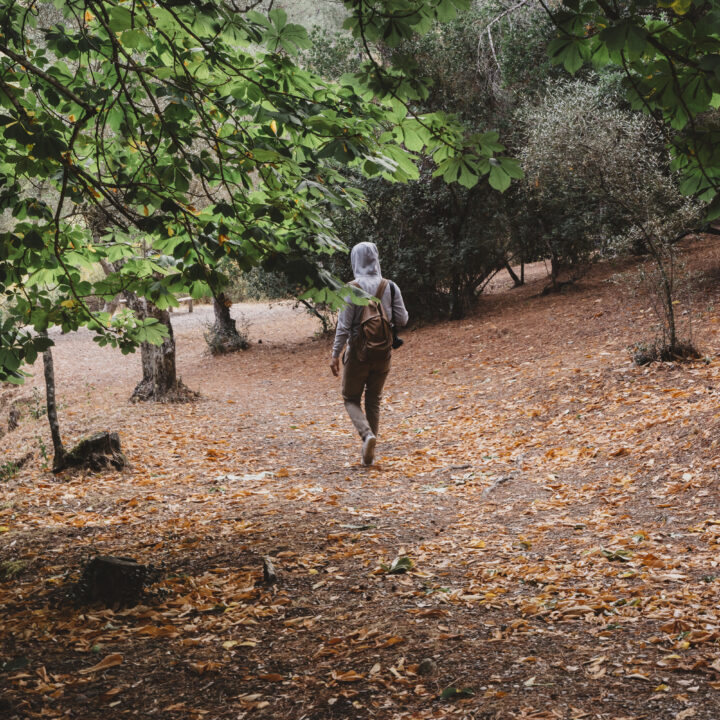 backpacker walking autumn forest
