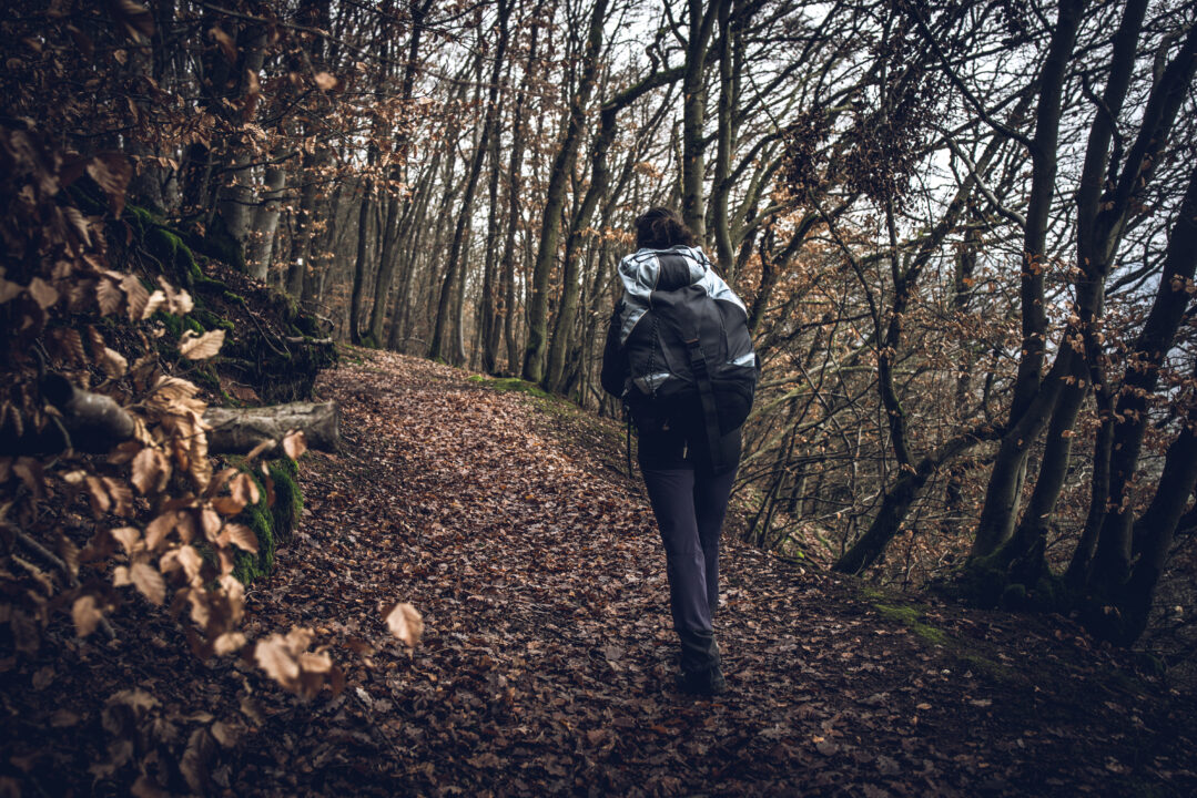 rear view woman hiking forest